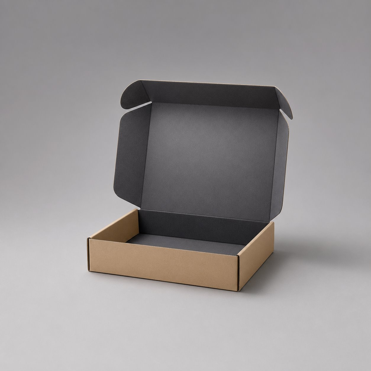 WITPAX Custom Mailer Type2 packaging feature image showing Professional Delivery: Your Reliable Shipping Companion