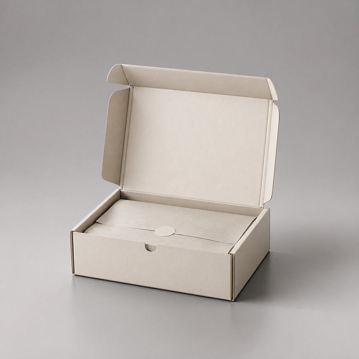 WITPAX Custom Mailer Type2 packaging feature image showing Functional Simplicity: Effortless Brand Recognition