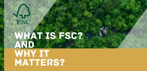 without referencing the text on your product packaging: **Image Description:** Aerial view of a lush, dense green forest. **Text Overlay:** "Understanding FSC Certification in Packaging: Its Importance and Benefits" **Top Left Corner:** FSC logo This version maintains the focus on the importance and benefits of FSC certification relevant to packaging boxes, aligning with your product's context.