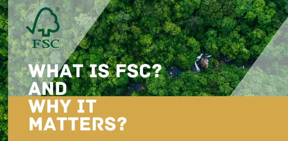 without referencing the text on your product packaging: **Image Description:** Aerial view of a lush, dense green forest. **Text Overlay:** "Understanding FSC Certification in Packaging: Its Importance and Benefits" **Top Left Corner:** FSC logo This version maintains the focus on the importance and benefits of FSC certification relevant to packaging boxes, aligning with your product's context.