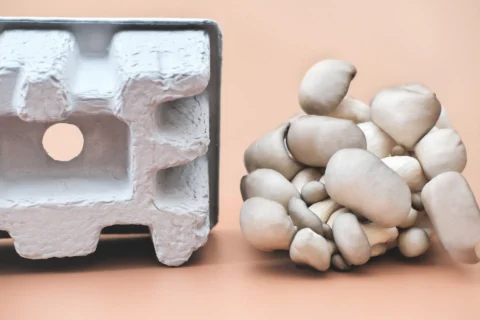 A detailed, white cardboard packaging box is placed against a beige background, accompanied by a cluster of mushrooms beside it.