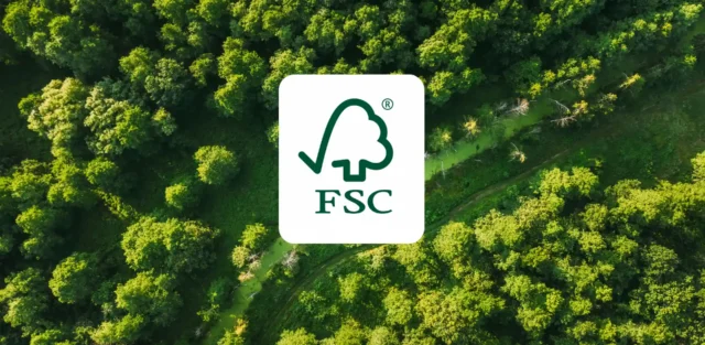 Aerial view of a custom packaging box designed with a green forest theme and featuring the FSC logo.