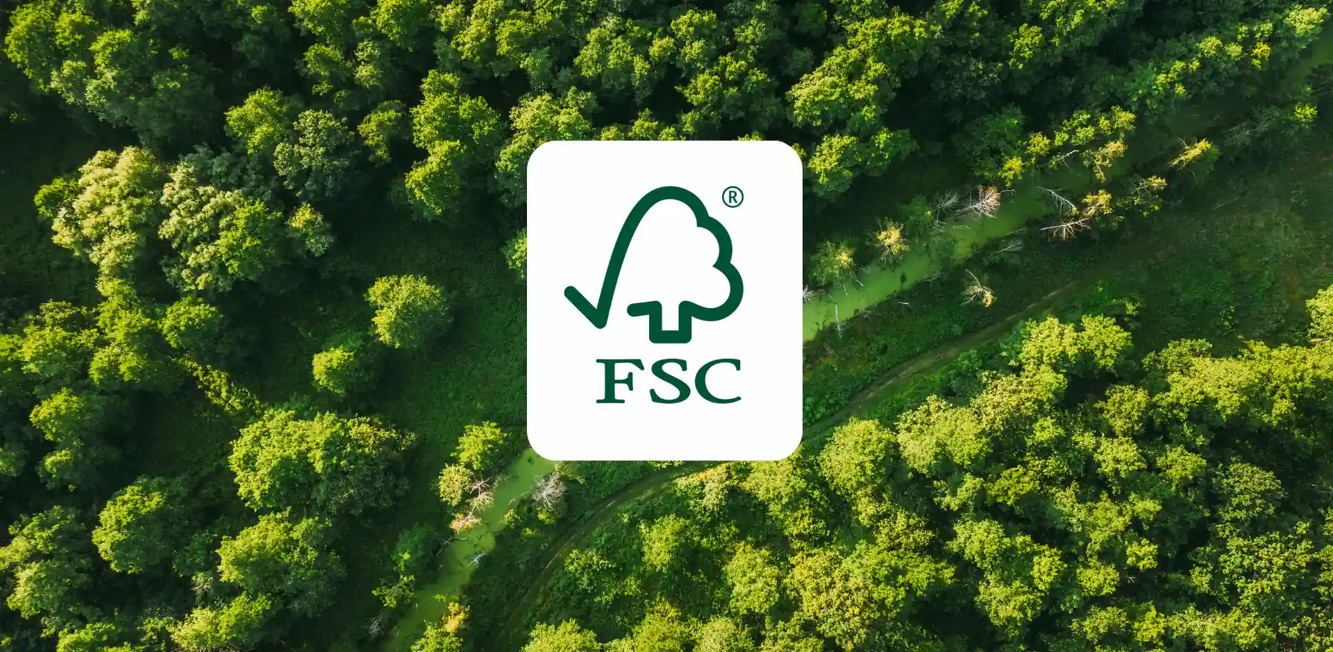 Aerial view of a custom packaging box designed with a green forest theme and featuring the FSC logo.