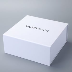 Collapsible rigid boxes type 2