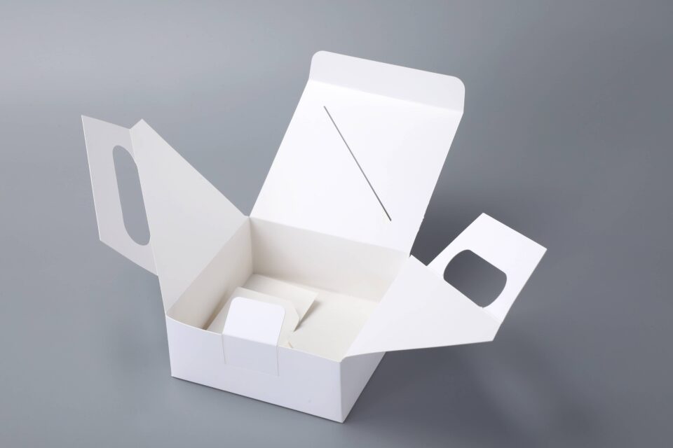 Portable folding carton - Image 2