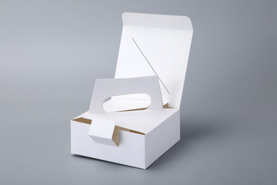 Portable folding carton - Image 3