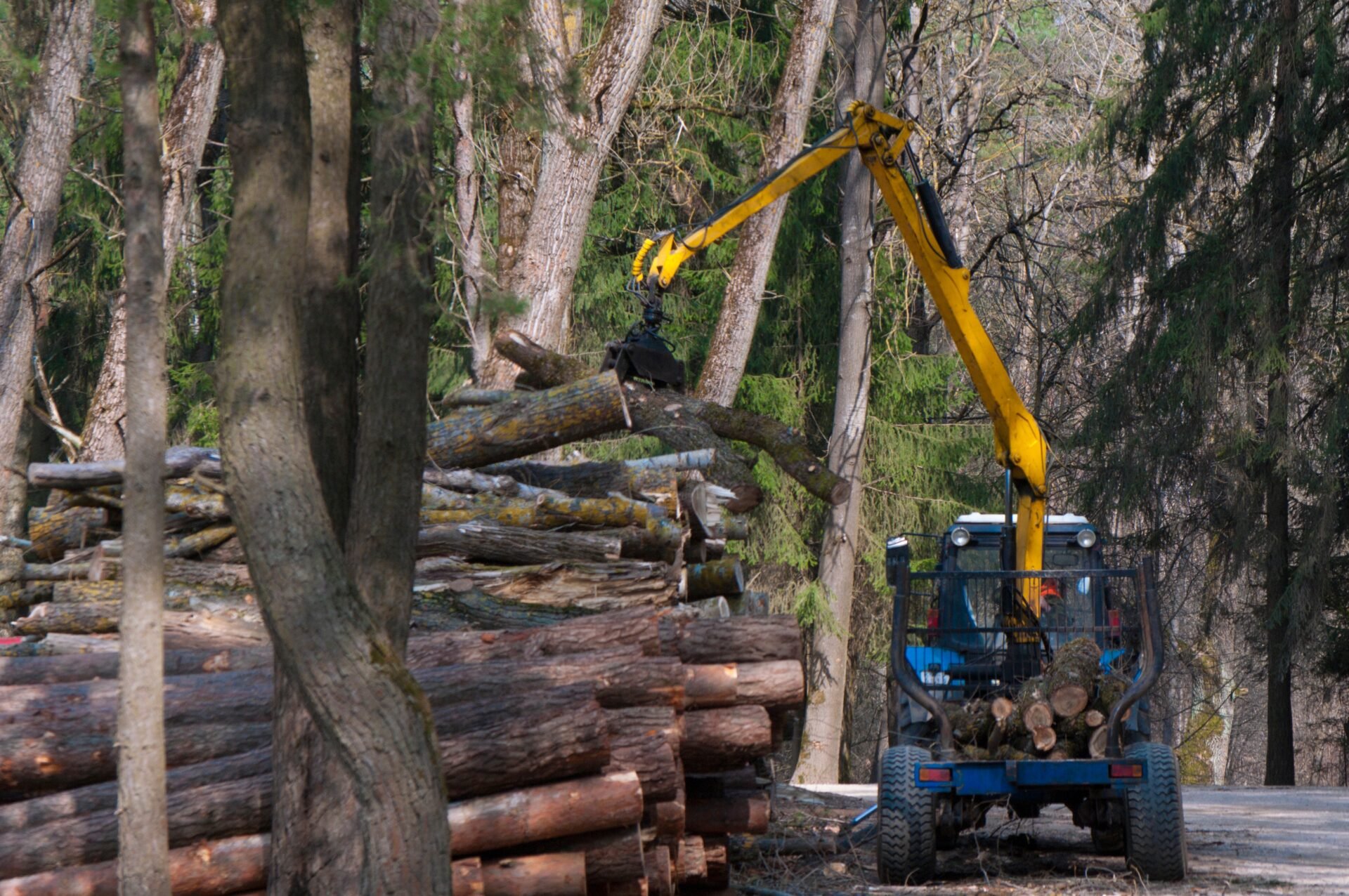 logging machine