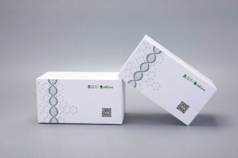 The image showcases two custom-designed rectangular boxes with DNA helix graphics and QR codes, set against a neutral gray background.