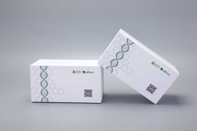 The image showcases two custom-designed rectangular boxes with DNA helix graphics and QR codes, set against a neutral gray background.
