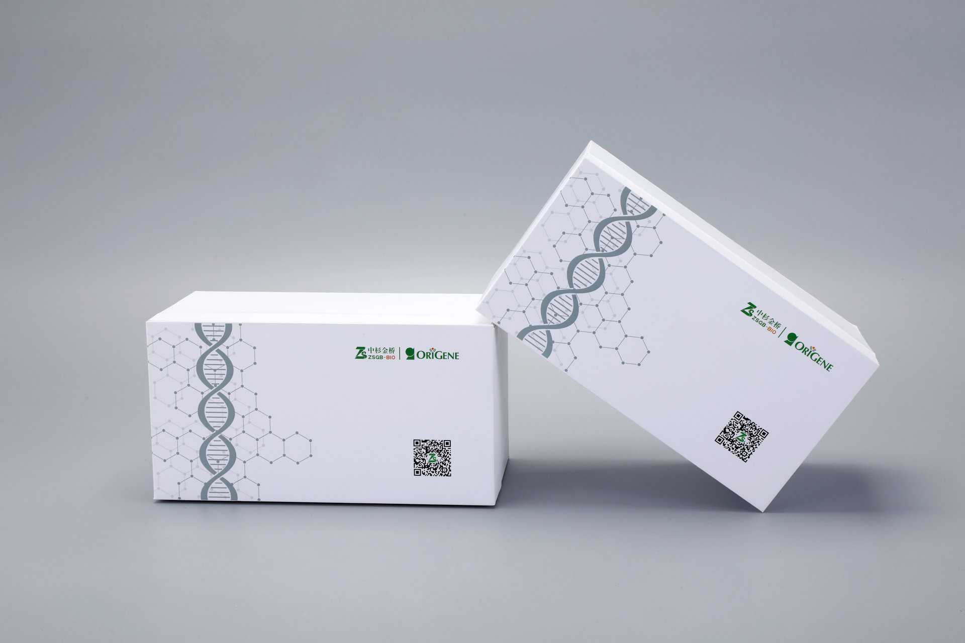 The image showcases two custom-designed rectangular boxes with DNA helix graphics and QR codes, set against a neutral gray background.