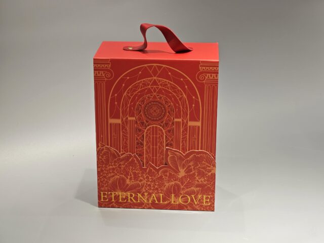 双开门手提礼品盒 (8)