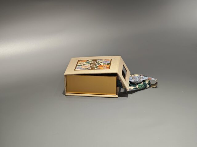 翻盖手提盒 (10)