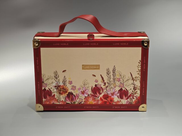 翻盖手提盒 (22)