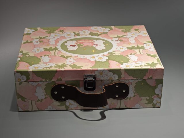 翻盖手提礼品盒 (52)