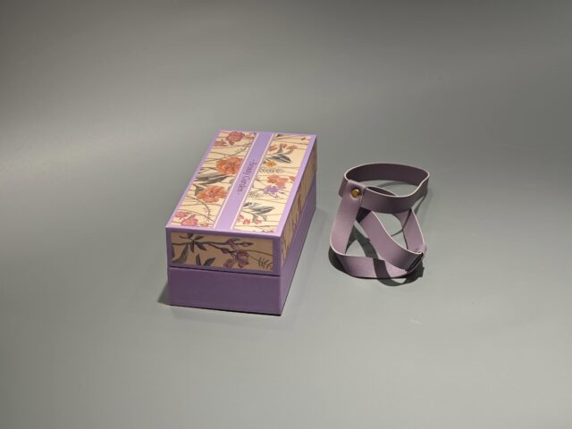 长方形天地盖手提礼品盒 (4)